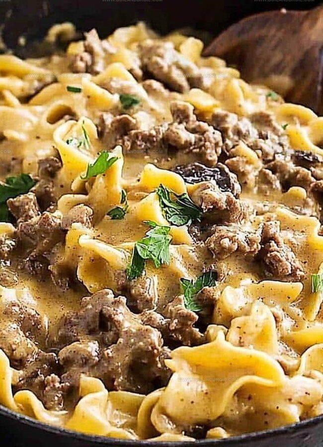 Stroganoff Hamburger Helper Instructions