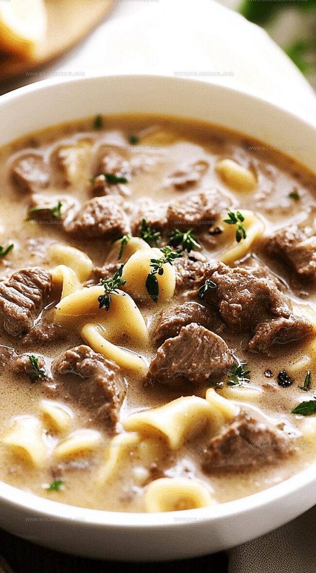 Store and Warm Stroganoff Soup