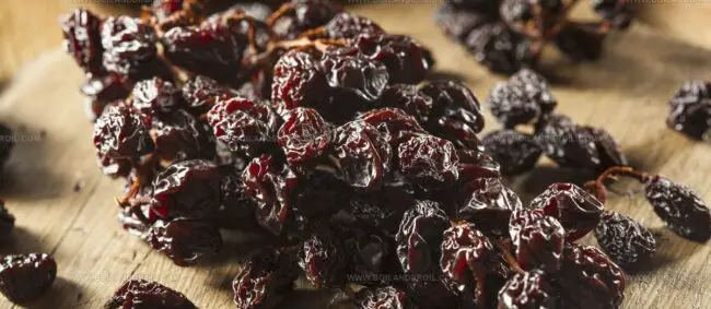Malaga Raisins (Pasas De Malaga)