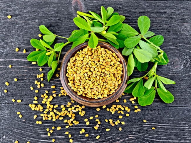 Taste of Fenugreek