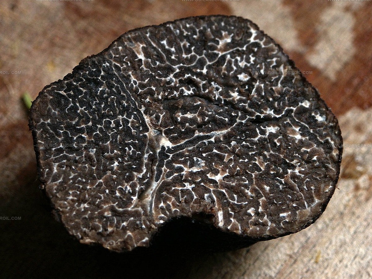 Black Truffles Taste Like: Earth's Hidden Gem for Your Palate