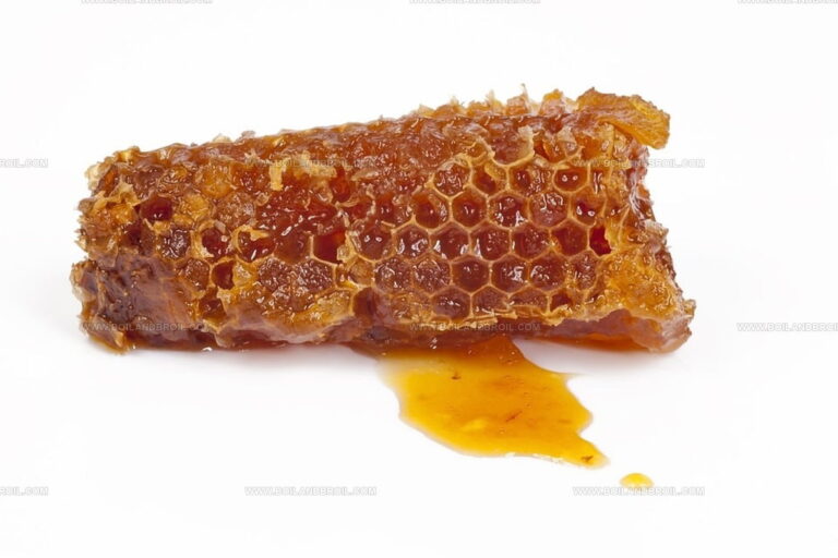 What Does Honeycomb Taste Like? Sweet Sunshine in a Crunchy Bite