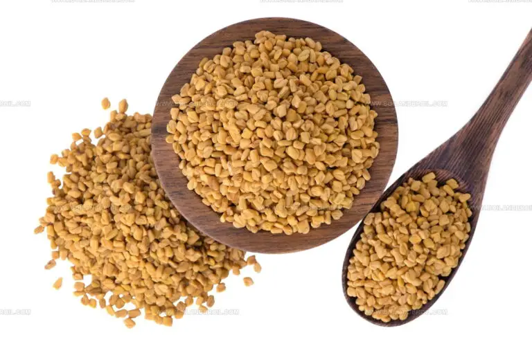 What Does Fenugreek Taste Like? A Flavor Journey Worth Taking