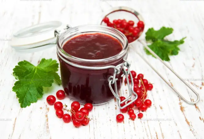 What Fruits Are Most Commonly Used in European Spreads?