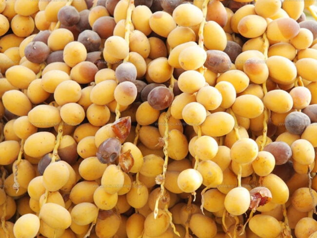 Rutab (Ripe Dates)