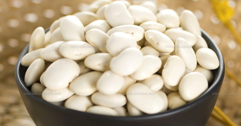 25 Popular Bean Varieties You Should Grow This Season