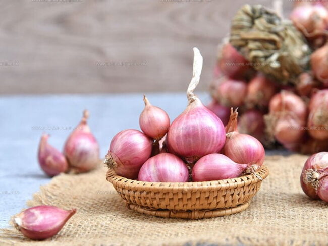 Health Benefits of Shallots