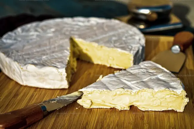Somerset Brie