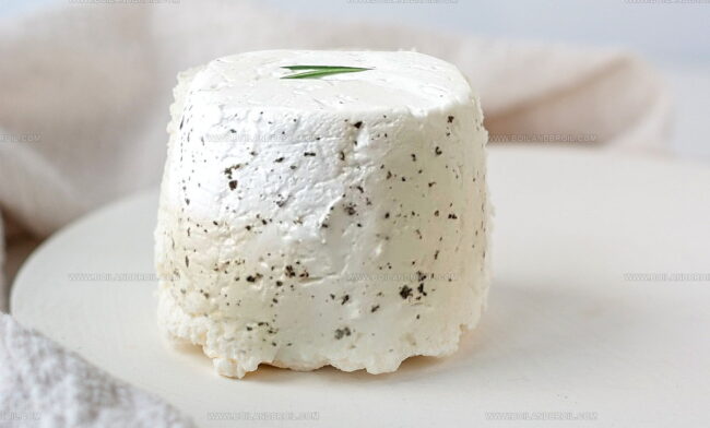 Perroche
