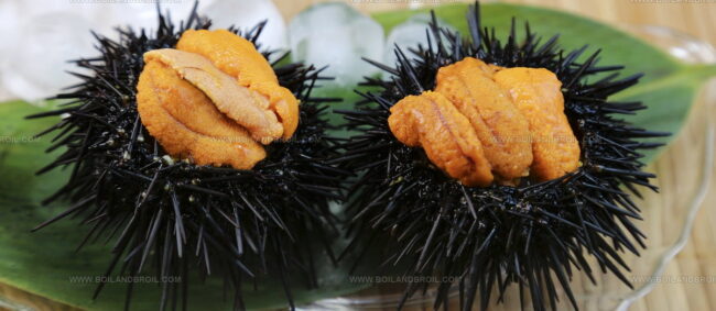 Uni
