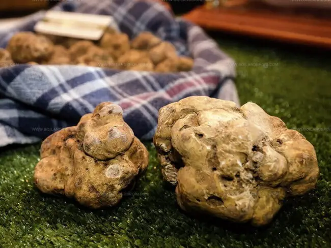 White Truffles