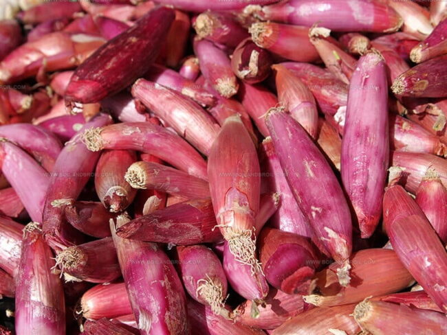 Types of Shallots