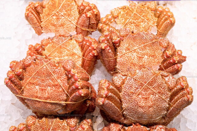 Hokkaido Hairy Crab
