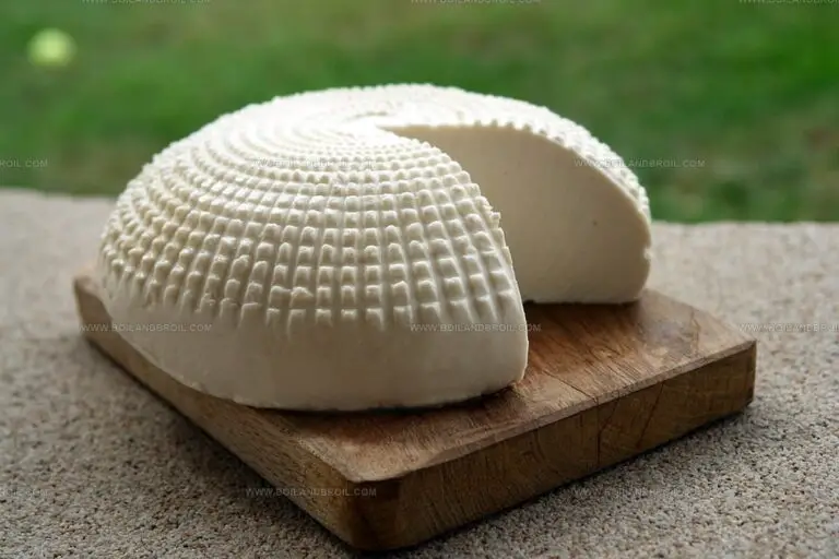 What Does Goat Cheese Taste Like? A Tangy Trip for Your Taste Buds